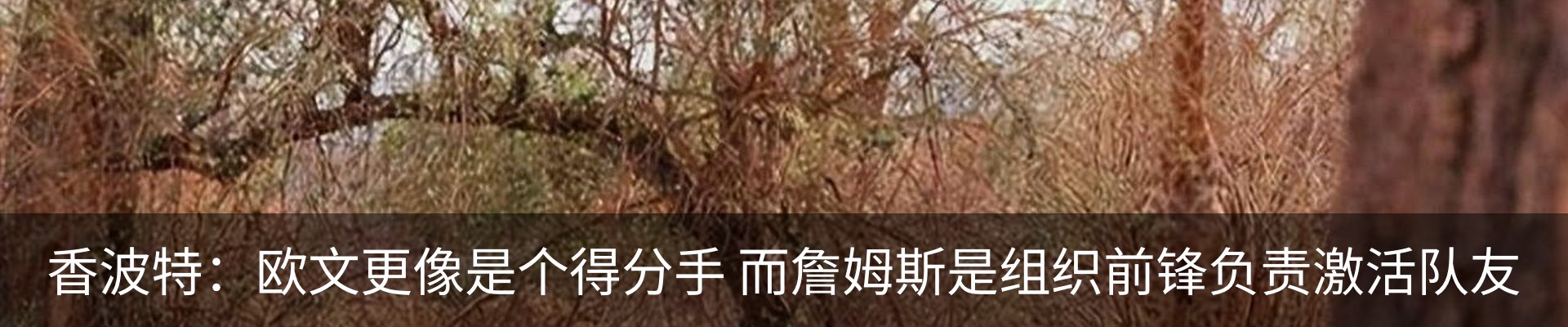 新闻动态