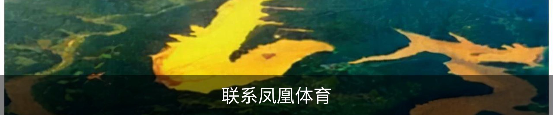 联系凤凰体育